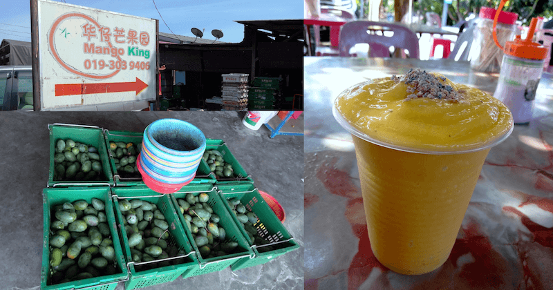 Mango king