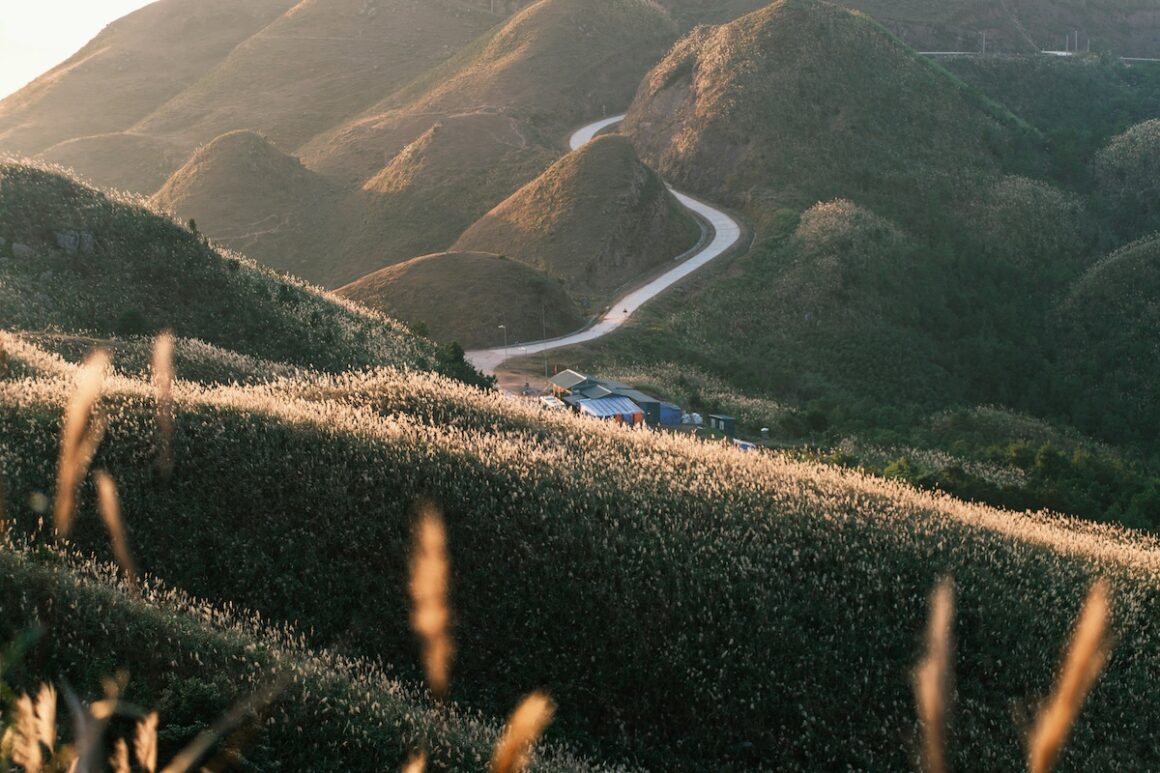 View from a mountain on a roadtrip
