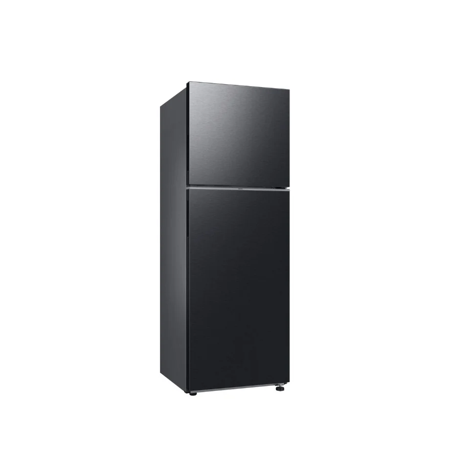 Samsung RT31CG5022B1ME, 305L two-door
